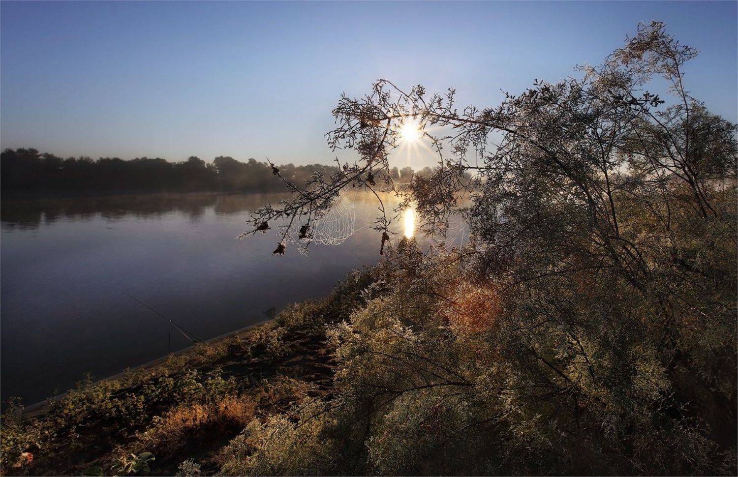 утро, река, паутина, роса, Сергей