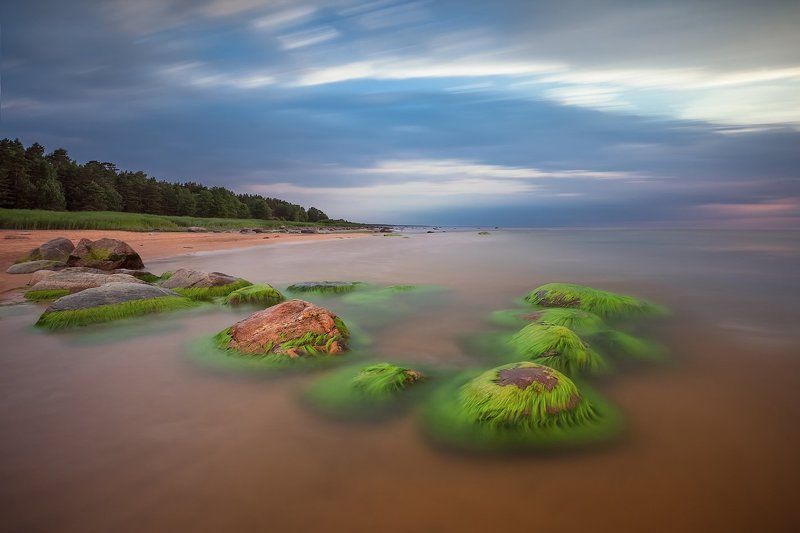 Сад камней фото превью