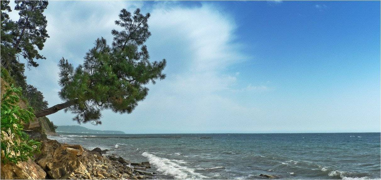 море, туапсе, КарОл