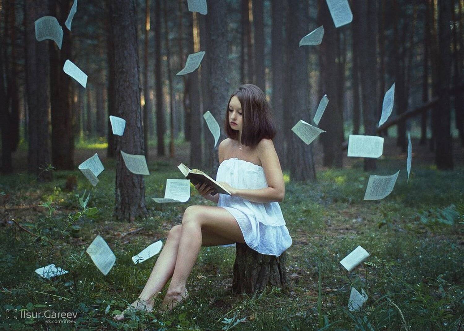 , Гареев Ильсур