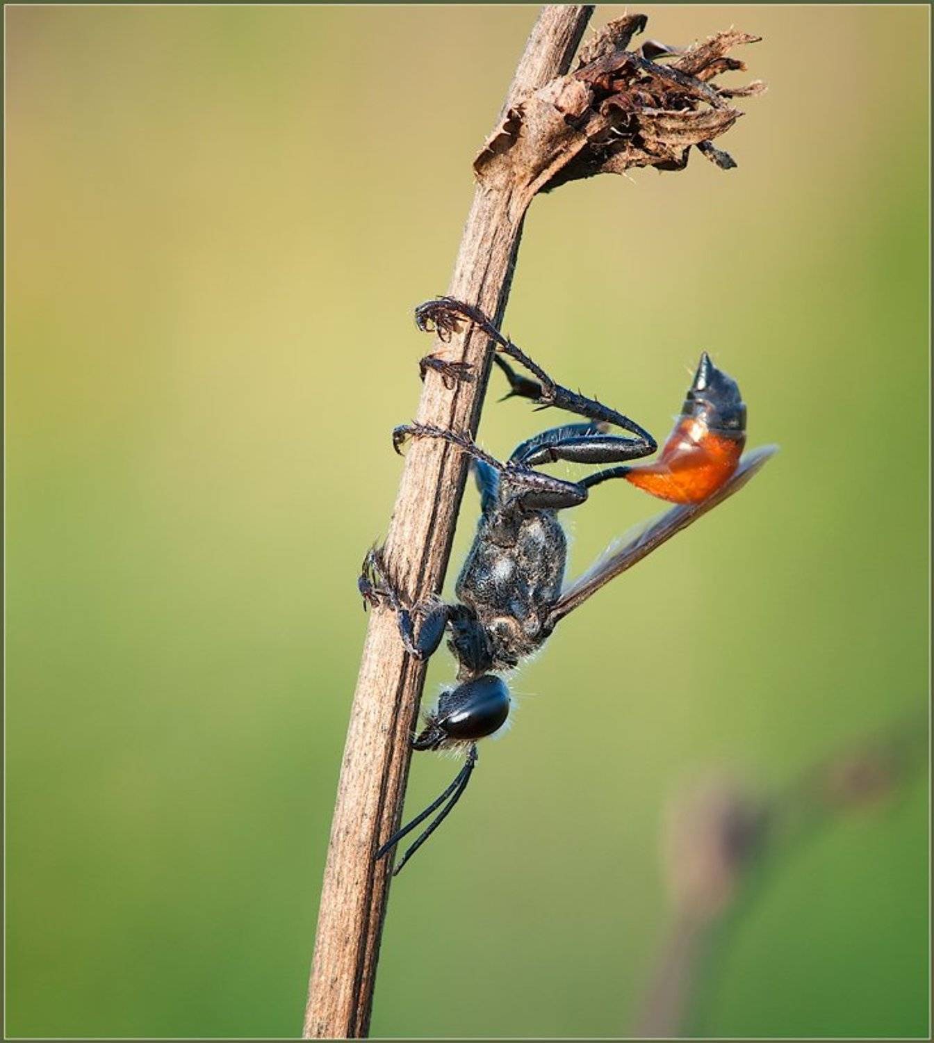 , Евгений Кирилкин.