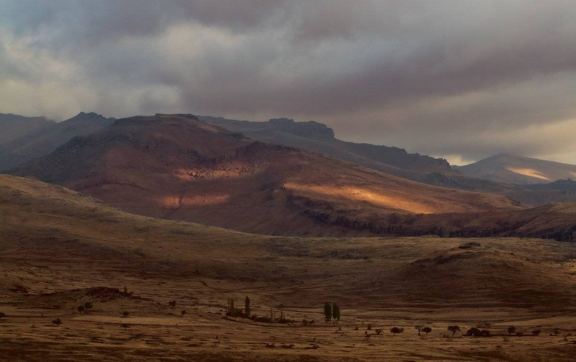 , Гамидов Мурад