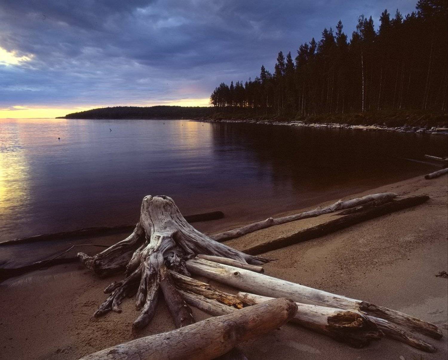 , Дима Лялин