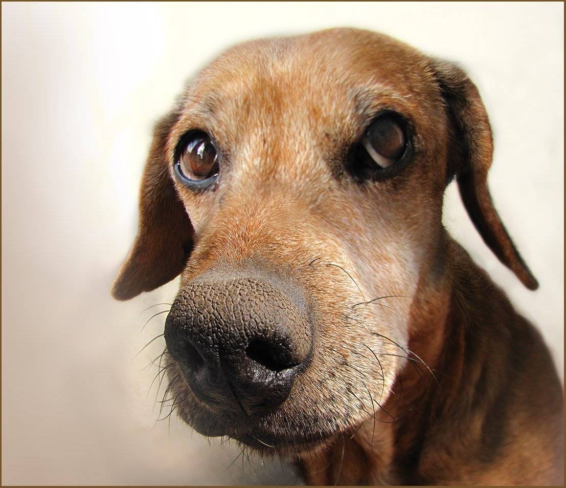 , Радковская Наталья