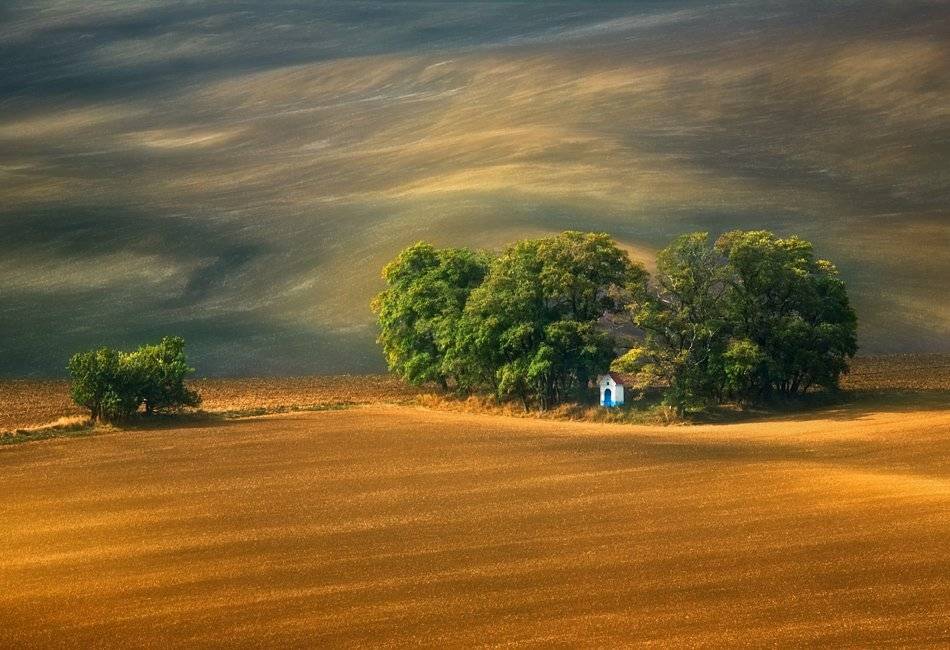 , Krzysztof Browko