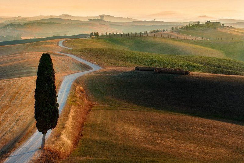 tuscany. тоскана, волны, waves,fog,mist Летнее утрами фото превью