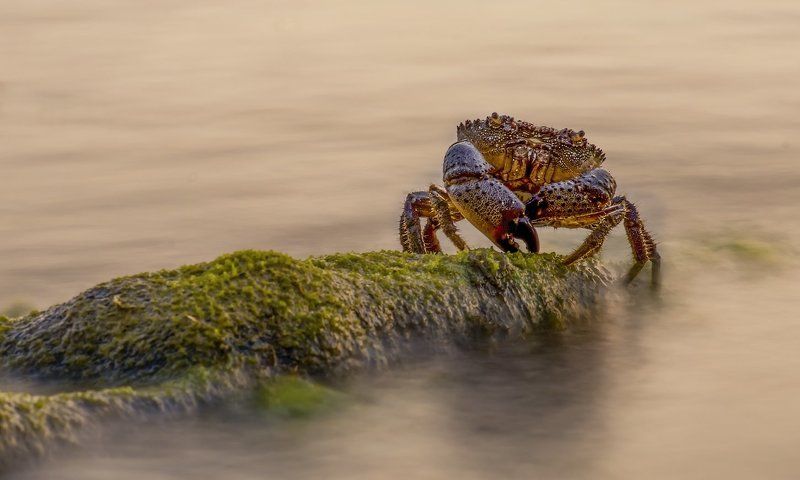 ЭТО МОЙ КАМЕНЬ - А НУ ПОШЛИ ,,,,! фото превью