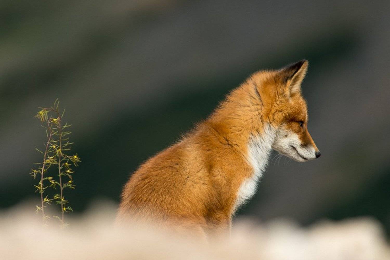 , Иван Кислов