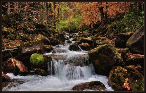 Там, где осень рисует картины...