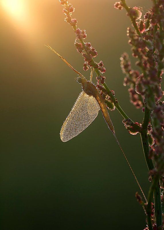 к свету фото превью