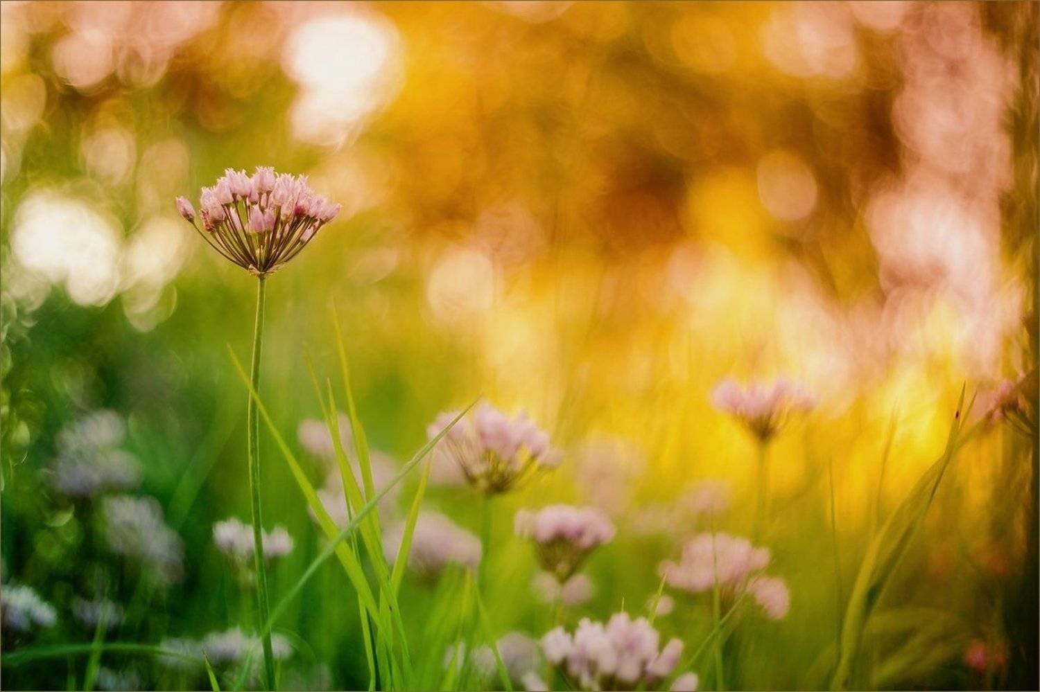 , Суханов Дмитрий