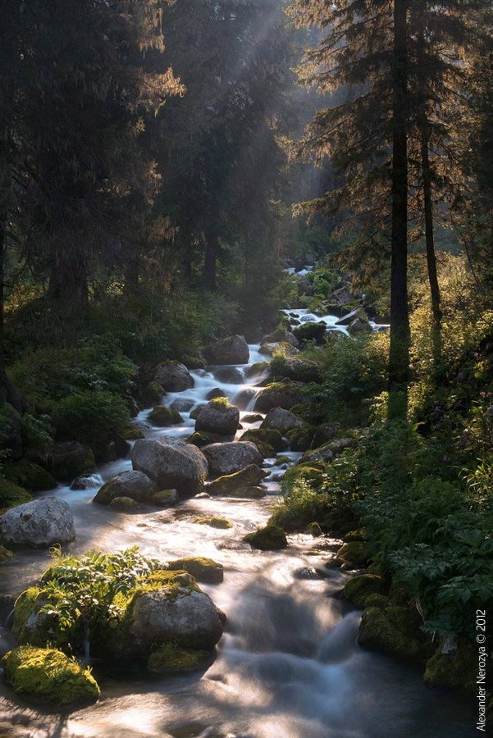 ергаки, красноярский, край, россия, сибирь, природа, тайга, горы, лето, Horimono