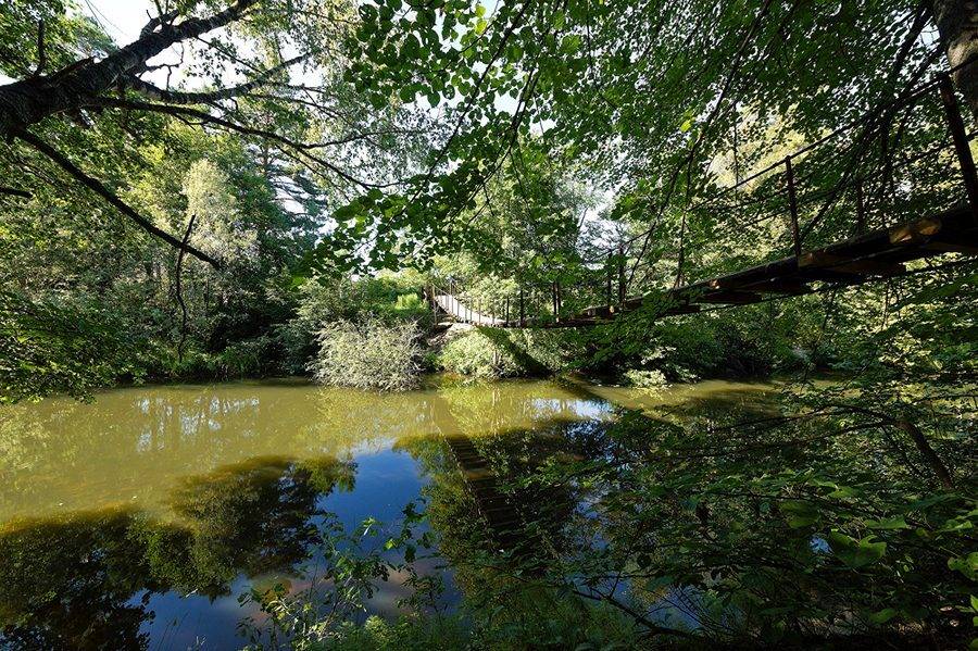 , Шмыров Илья