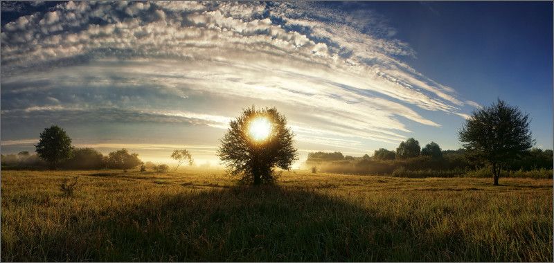 О предстоящем жарком дне... фото превью