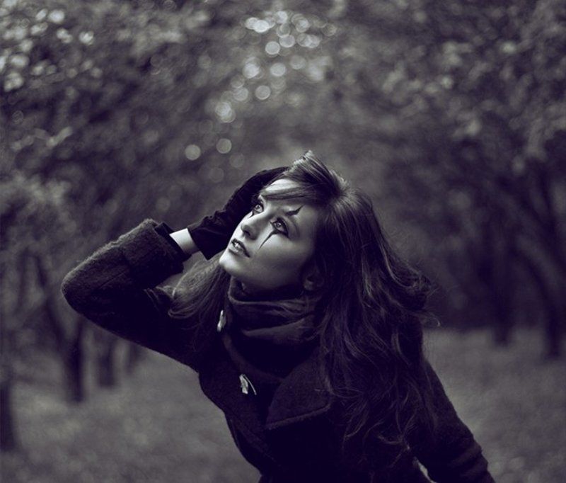 Одинокая птица фото превью