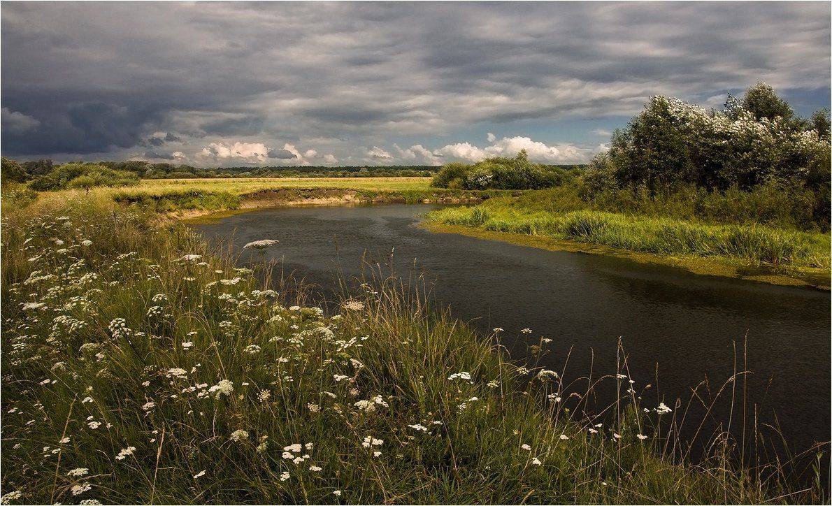 , Николай Шахманцир