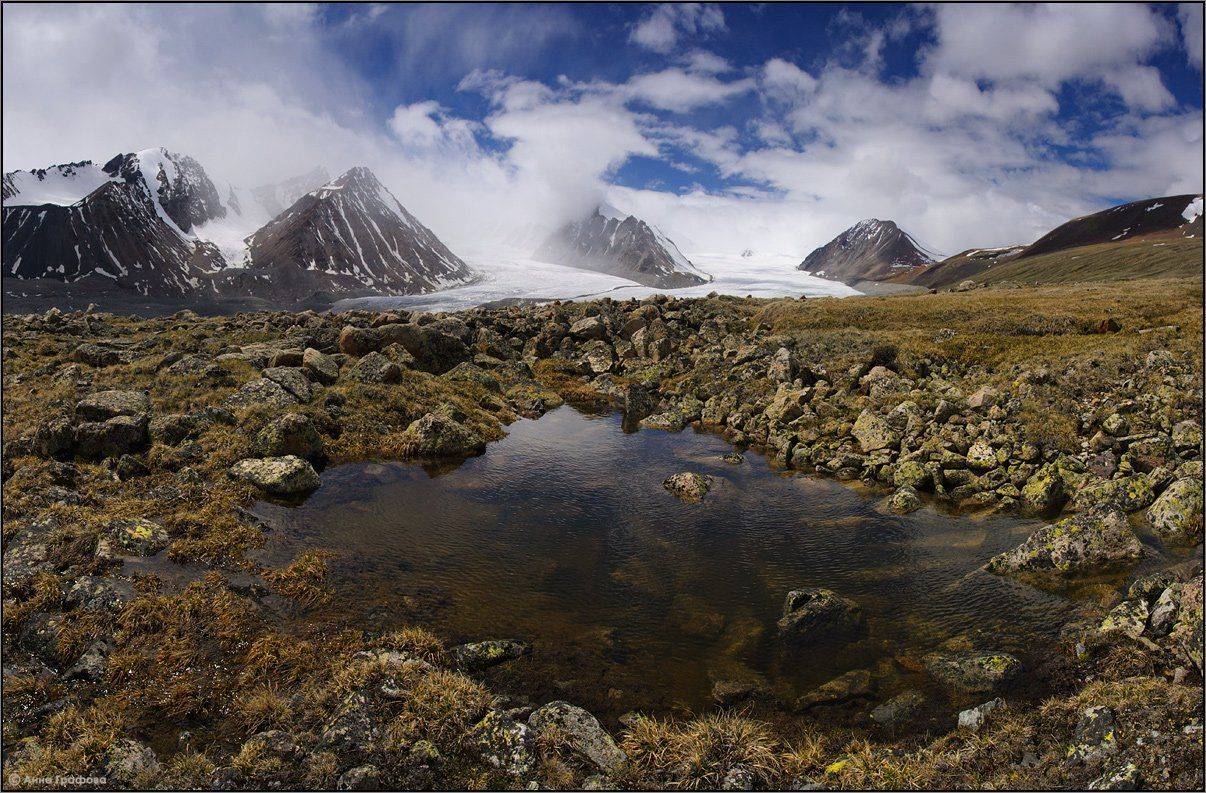 монголия, алтай, июнь, ледник потанина, ледник александры, высокогорная тундра, алтай таван богд, аня графова, Аня Графова