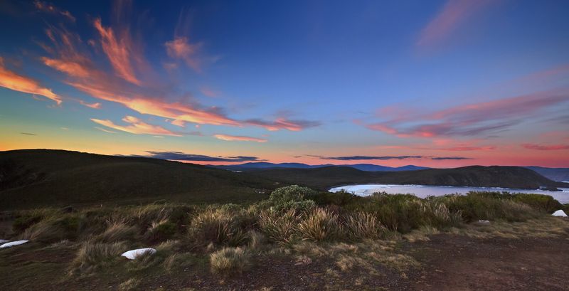 bruny, island Жар-Птица фото превью