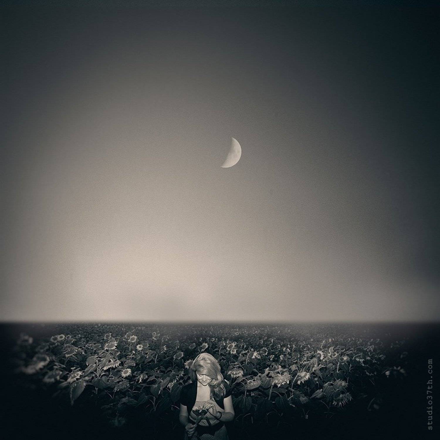 , Alexander Mikhailenko