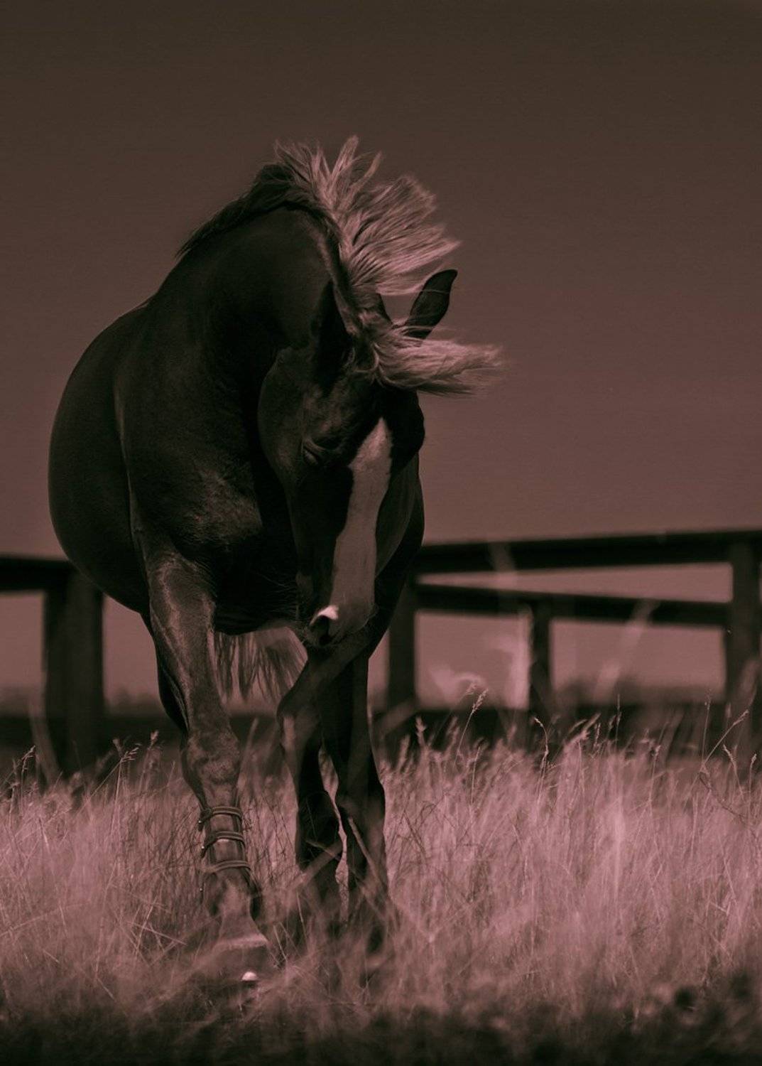 , Юлия Болдинова