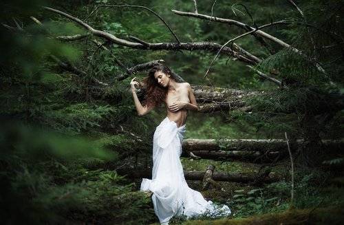 Forest Nymph.
