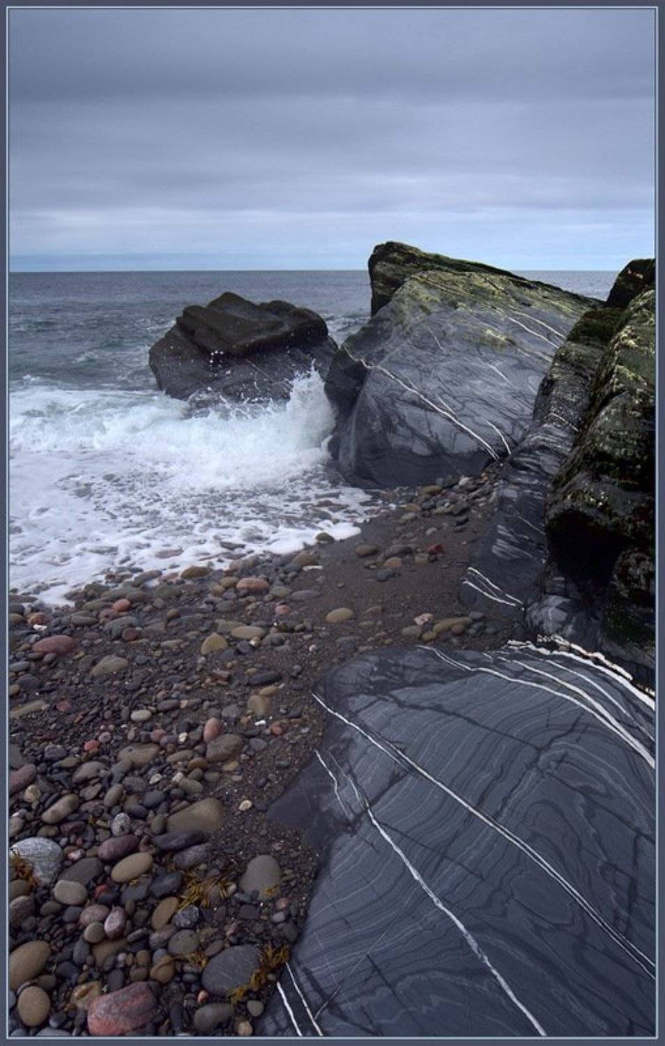 п-ов рыбачий, баренцево море, кольский п-ов, мыс скорбеевский, Lara