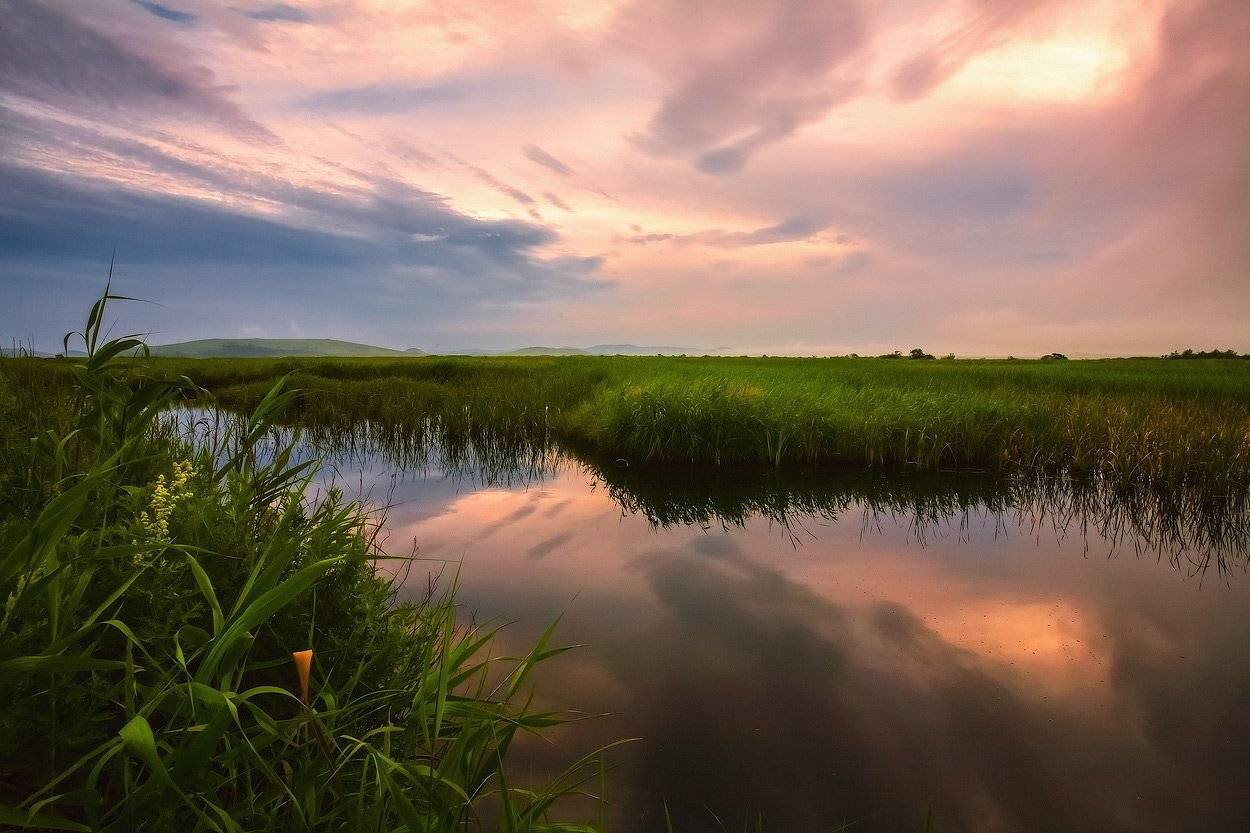 вечер, небо, отражение, трава, Андрей Кровлин
