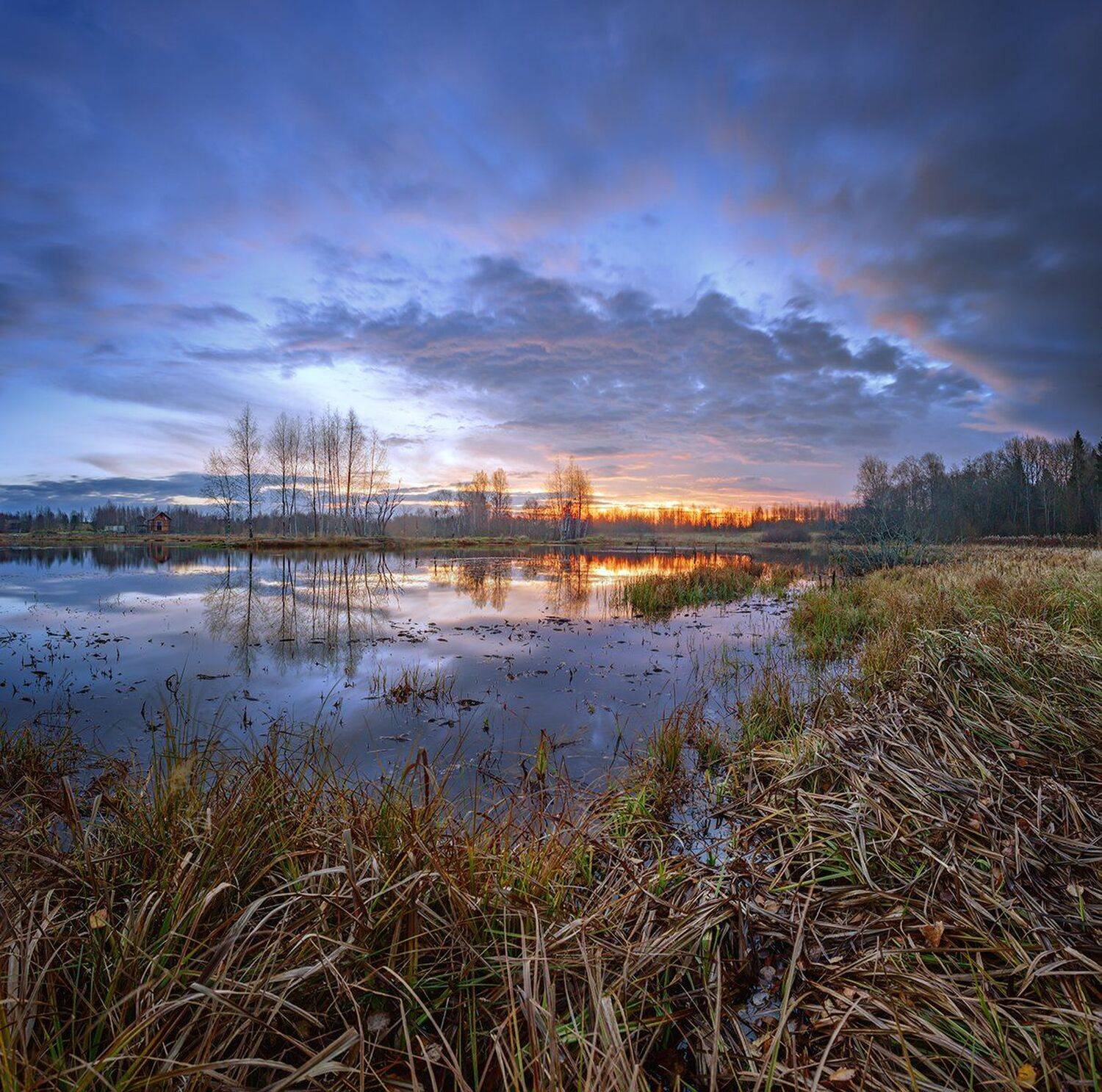 , Николай Андреев