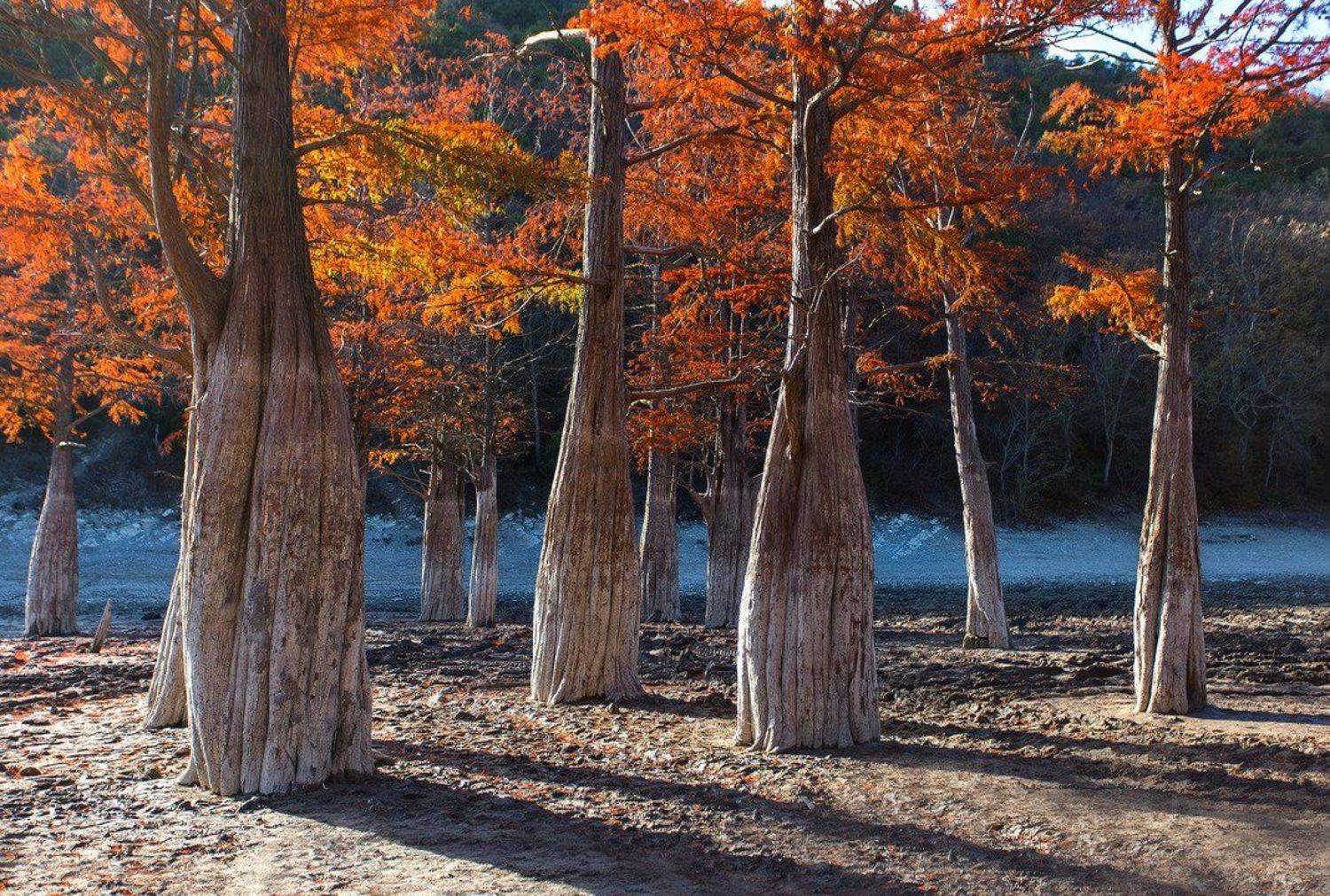 Россия,природа,краснодарскийкрай,краснодар,анапа,пейзаж,пейзажи,nature, Павел Сагайдак