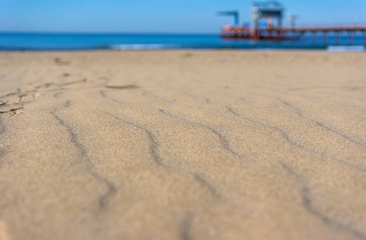 , Александр Земляной