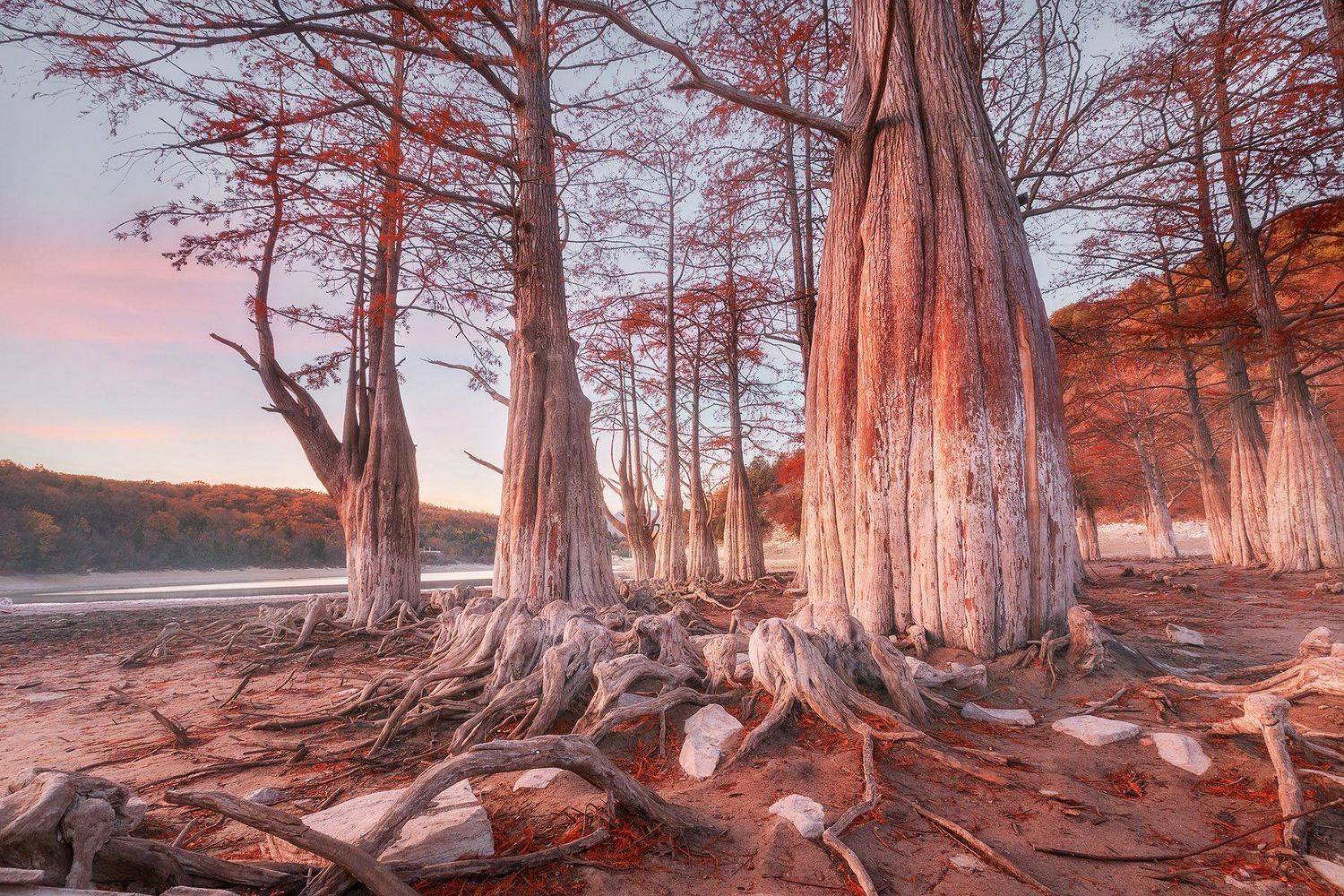 , Александр Костенко