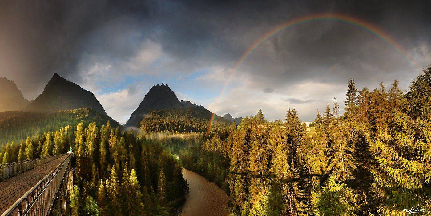 swiss, Матвеев Николай