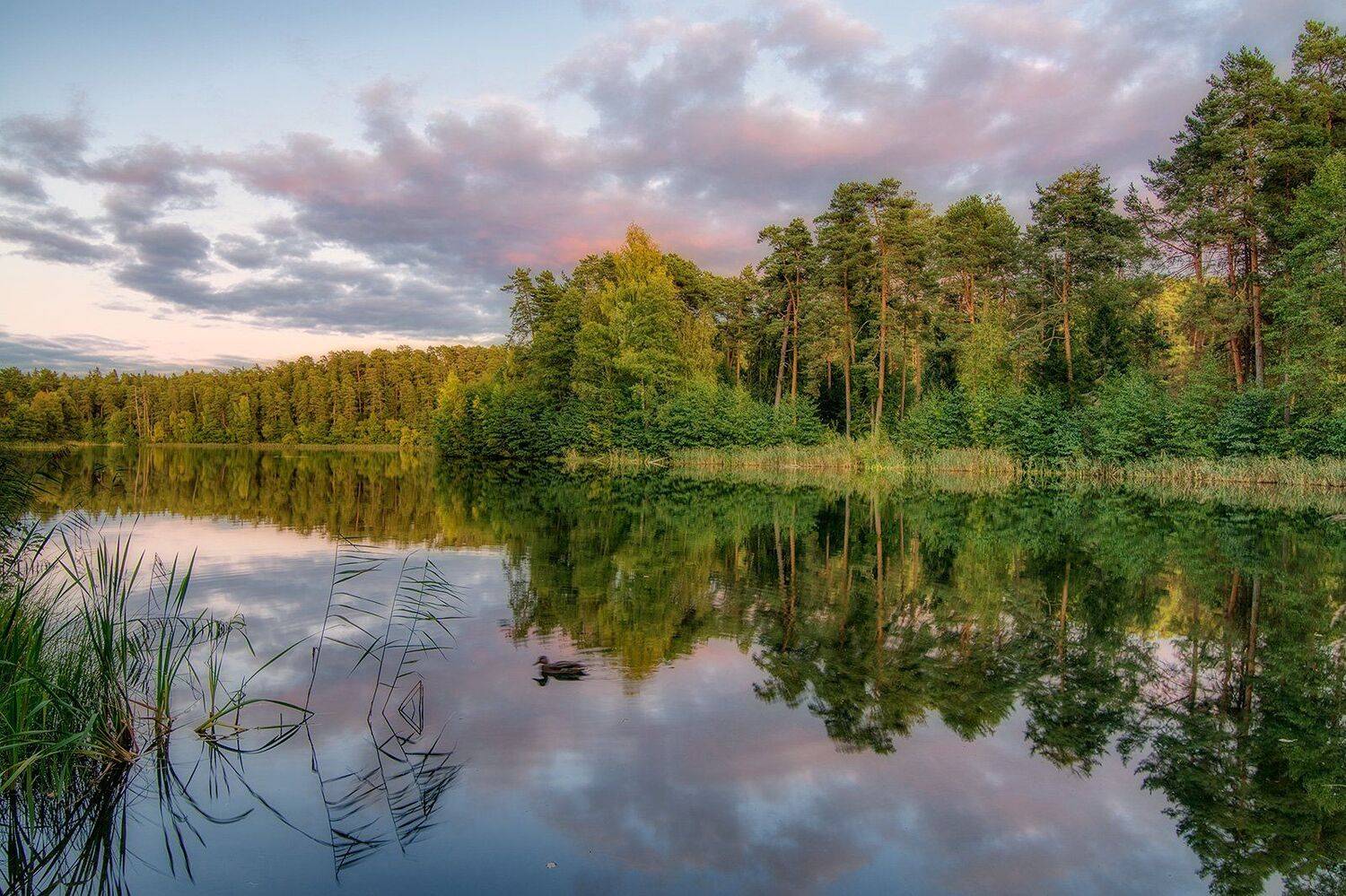 , Федотов Антон