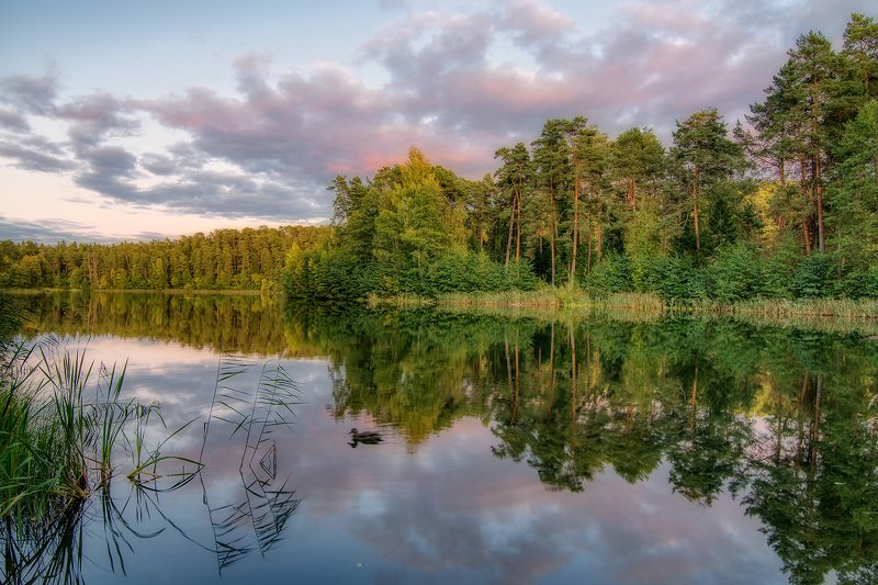 Уплывая домой фото превью