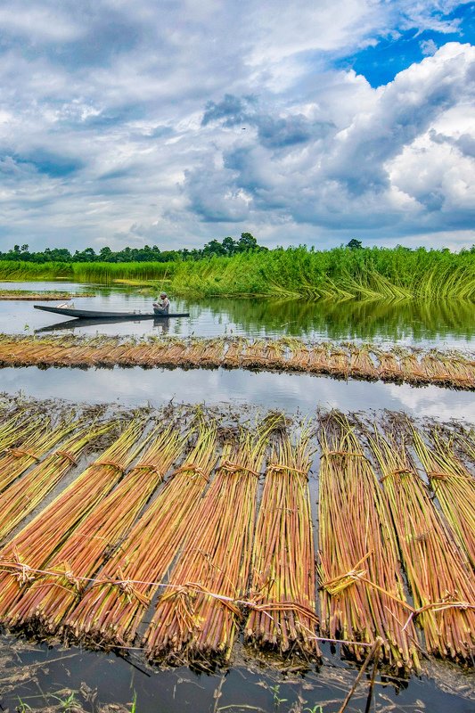Jute Agricultural фото превью