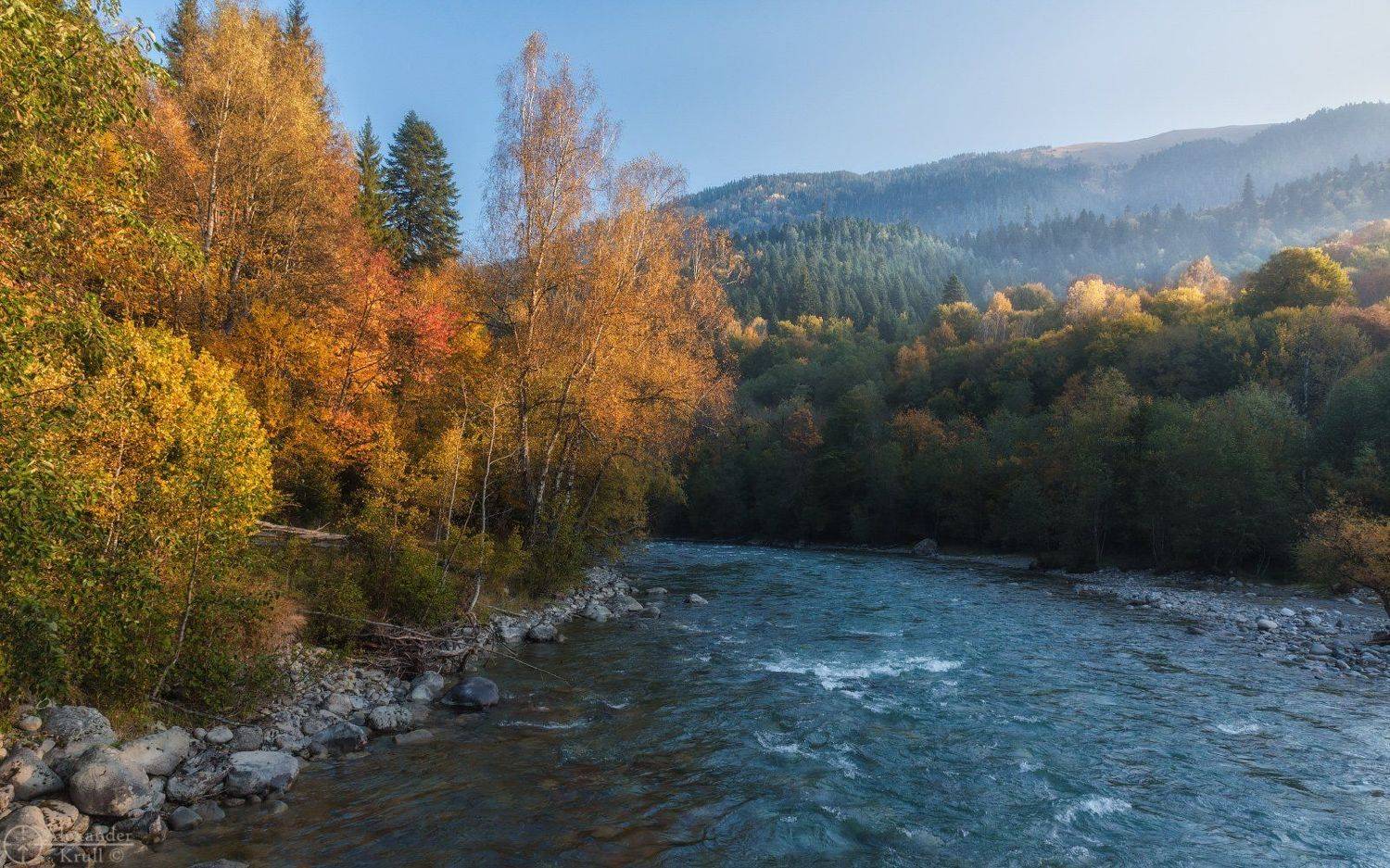 , Александр Круль