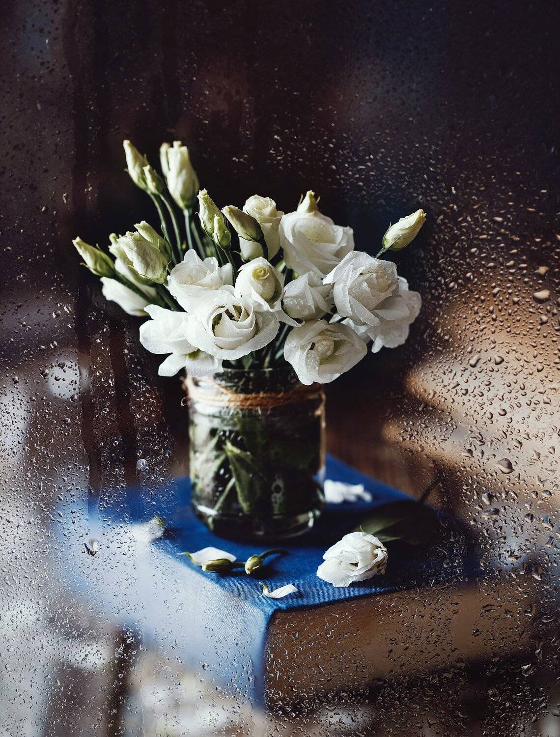 , Kristina Shavratskaya