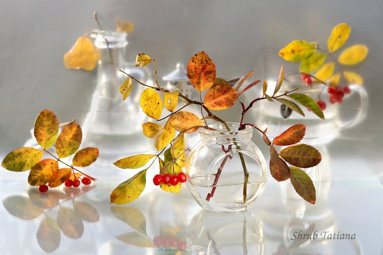 осень, листья, ветка, натюрморт, Шруб (Беляева) Татьяна