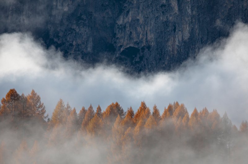 mountains, dolomites, italy, sunrise, landscape, nature, travel, trees, fog, clouds, autumn After Fog фото превью
