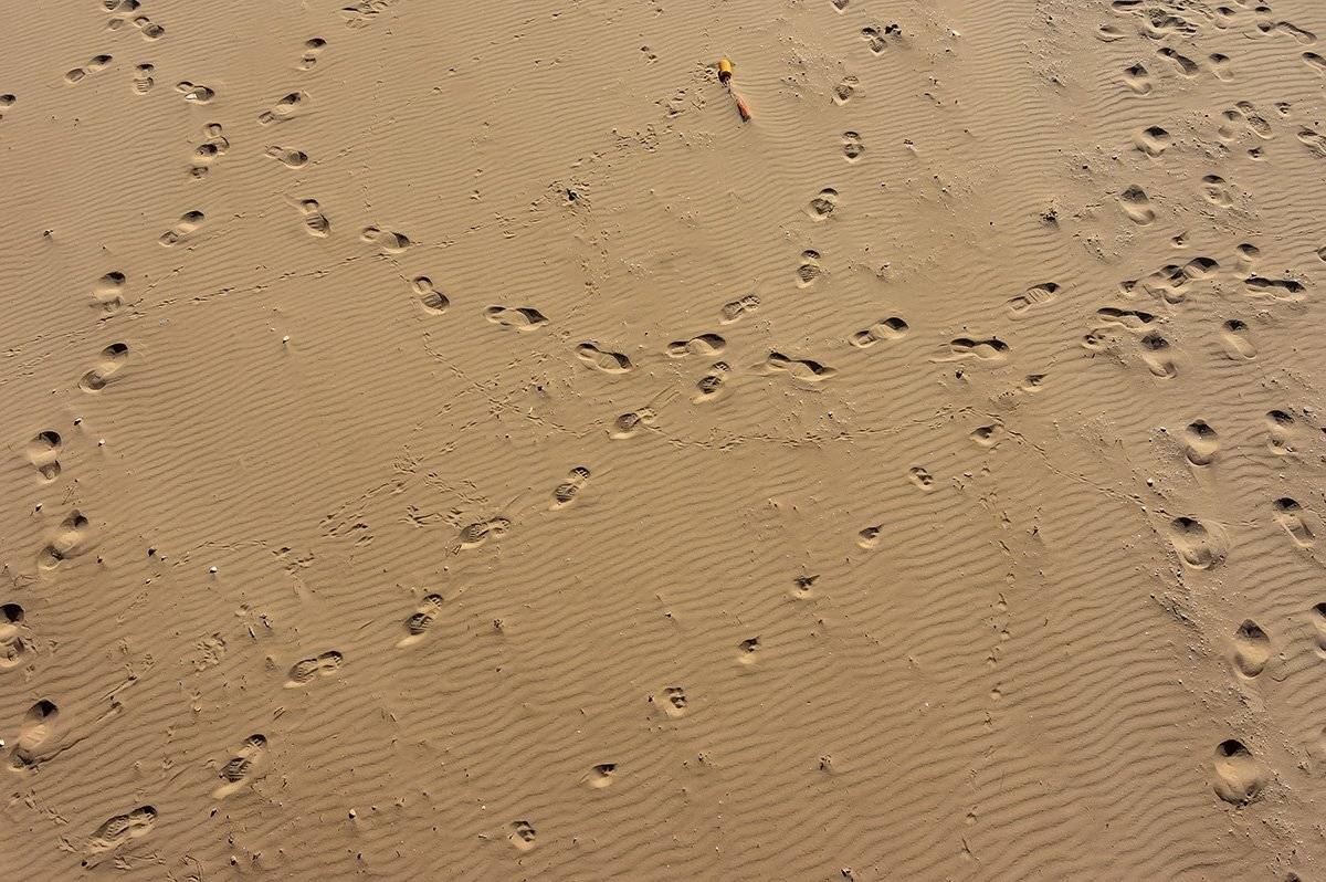 , Александр Земляной