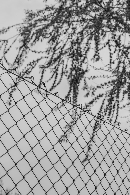 mohib ali photography Iron and Nature фото превью