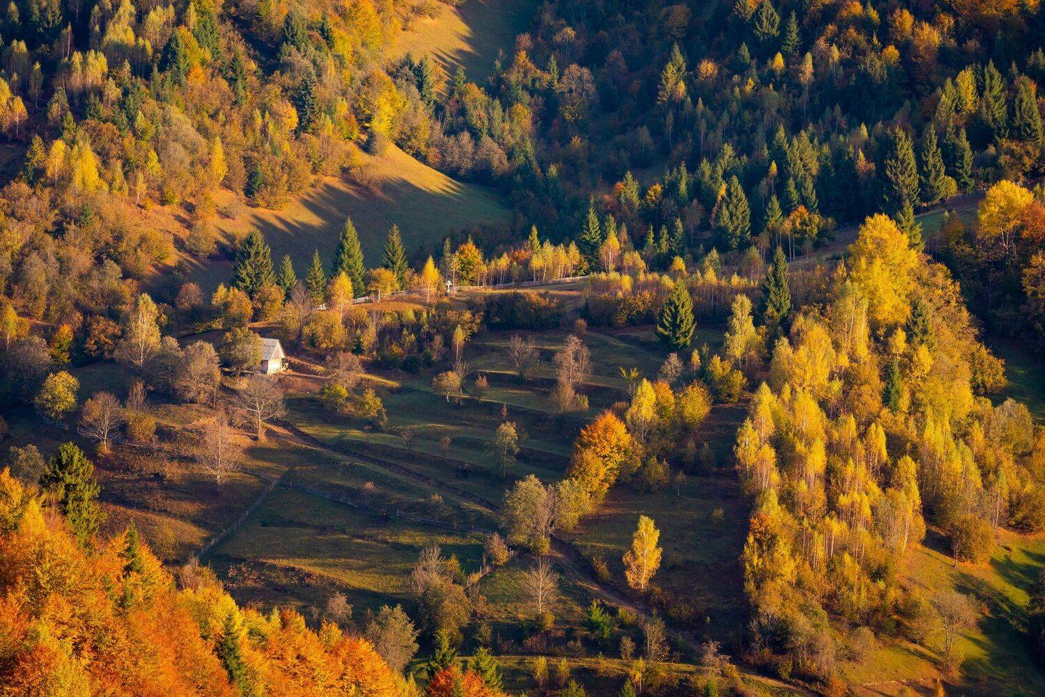 карпаты. осень, Татьяна Степанова