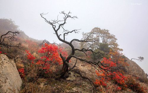 Осенние мотивы..