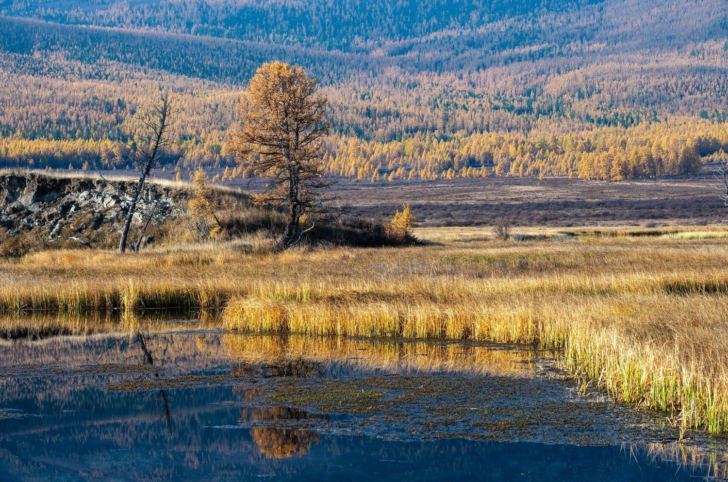 горы, алтай, горный алтай, солнце, утро, озеро, джангысколь, ештыкёль, урочище, отражение, ,, Николай Васильев