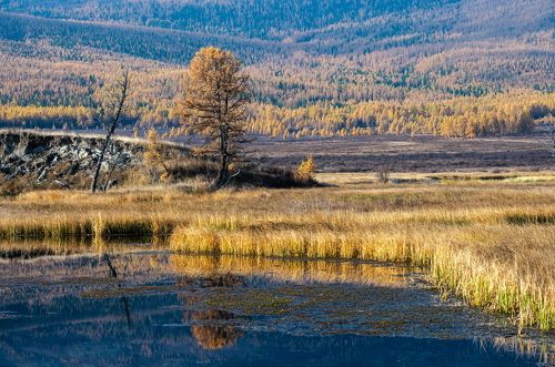 Утро на Джангысколе.