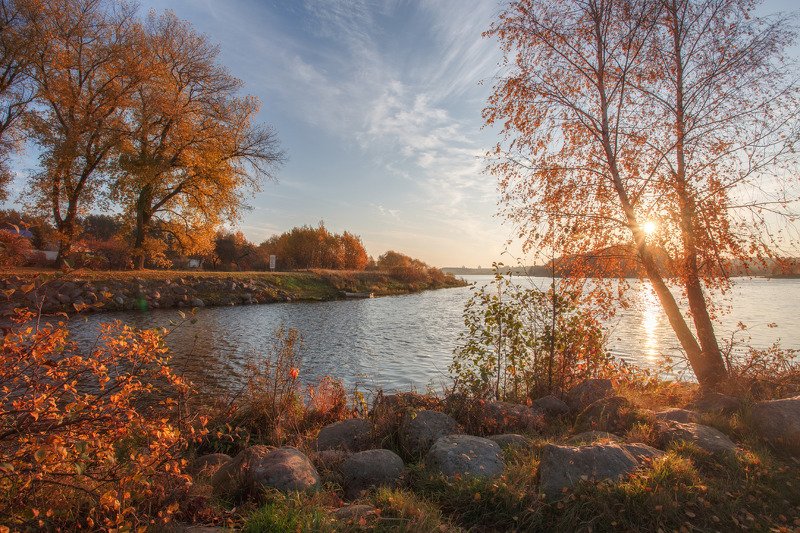 осень, тепло, минск, беларусь, свислочь, листва Тепло осени фото превью
