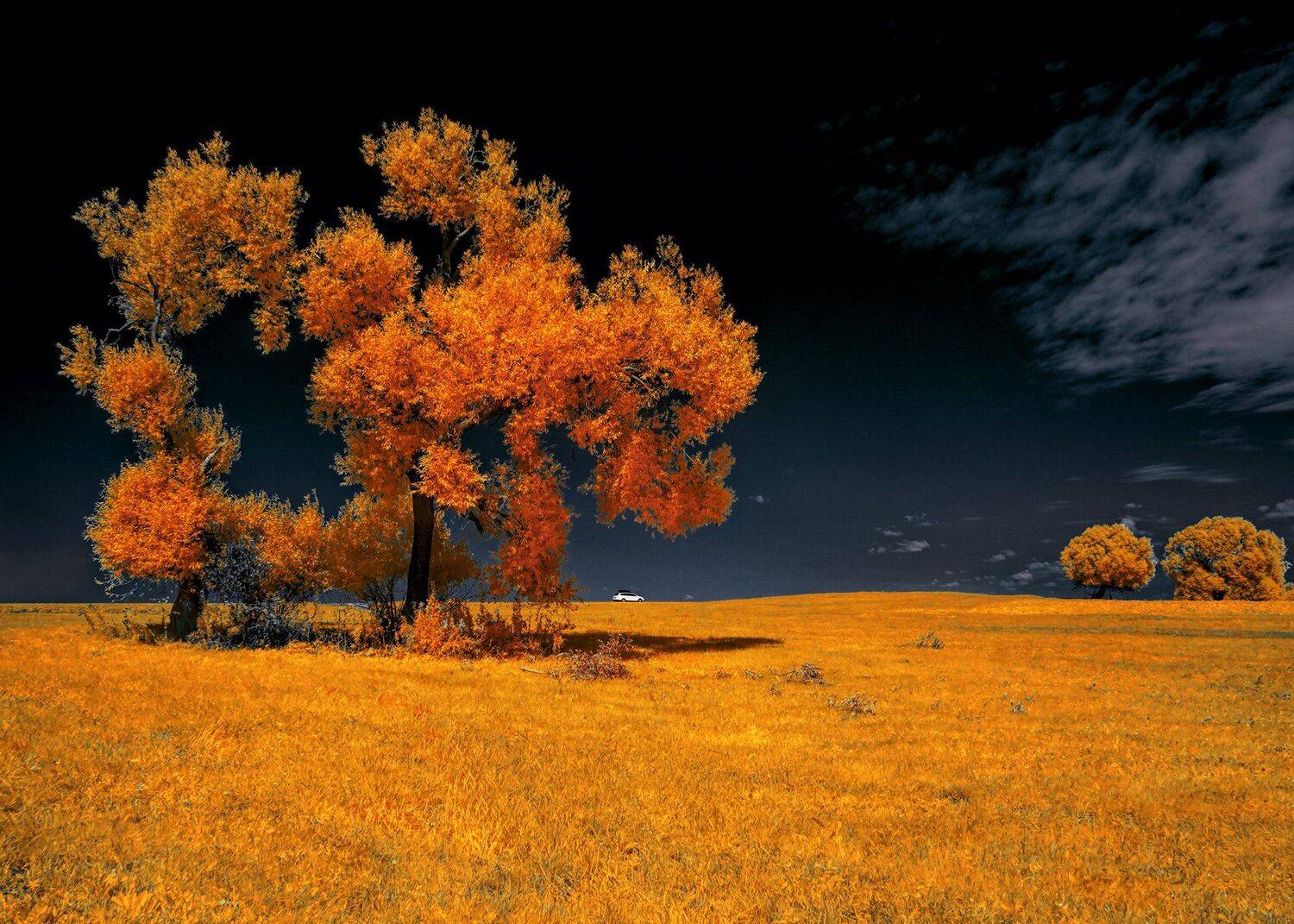 , Sixten ( Сергей )