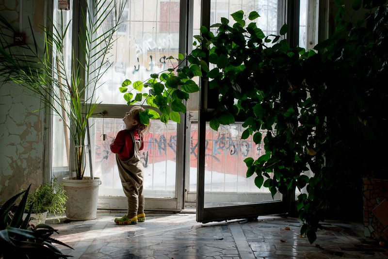 фото превью