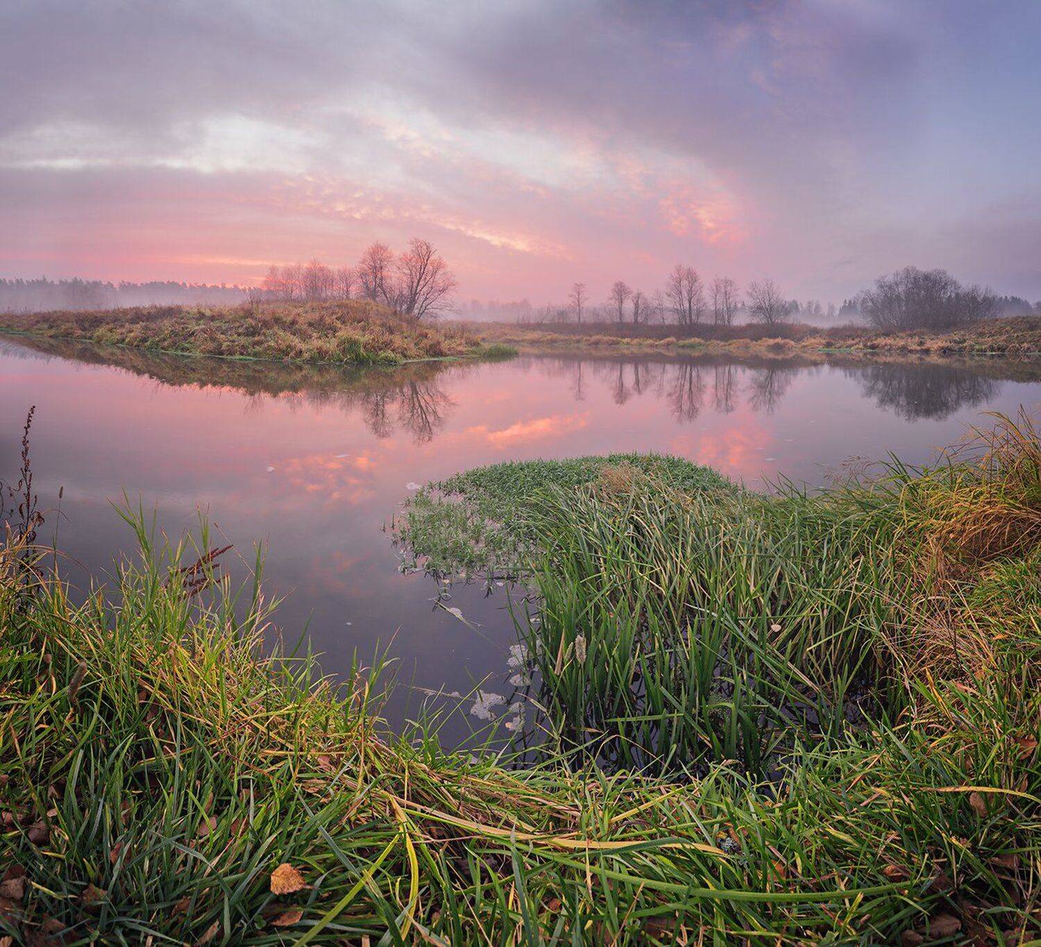 , Николай Андреев