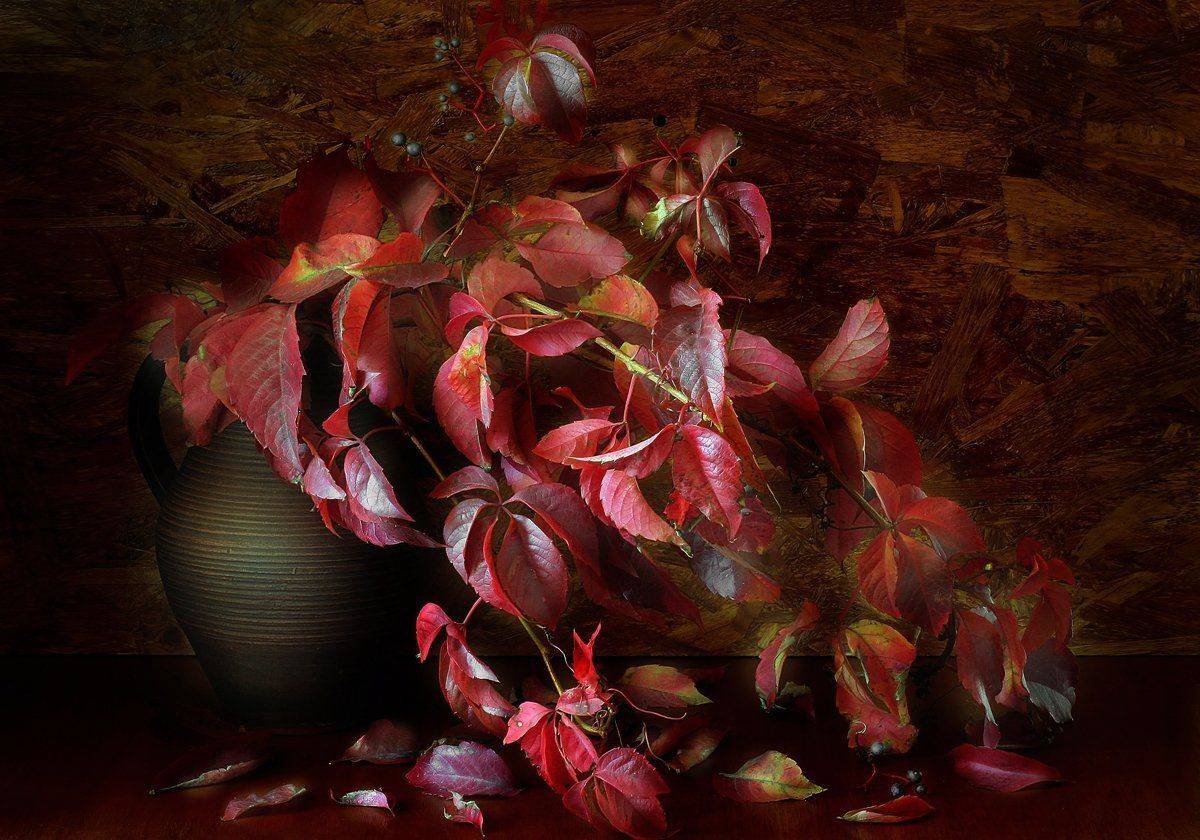 , Геннадий Петрущенко